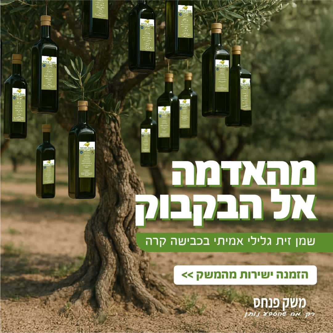 מארז 15 ליטר שמן זית כתית משובח זן קורנייקי