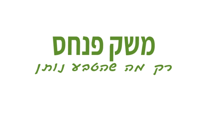 משק פנחס