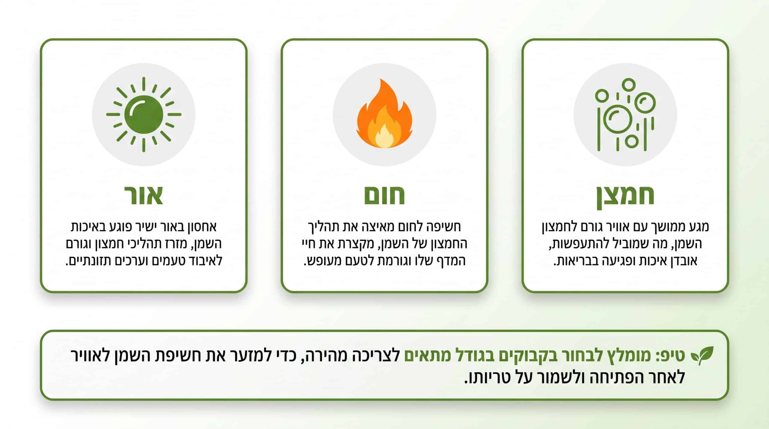 אחסון שמן זית נכון — שלושת האויבים של פוליפנולים