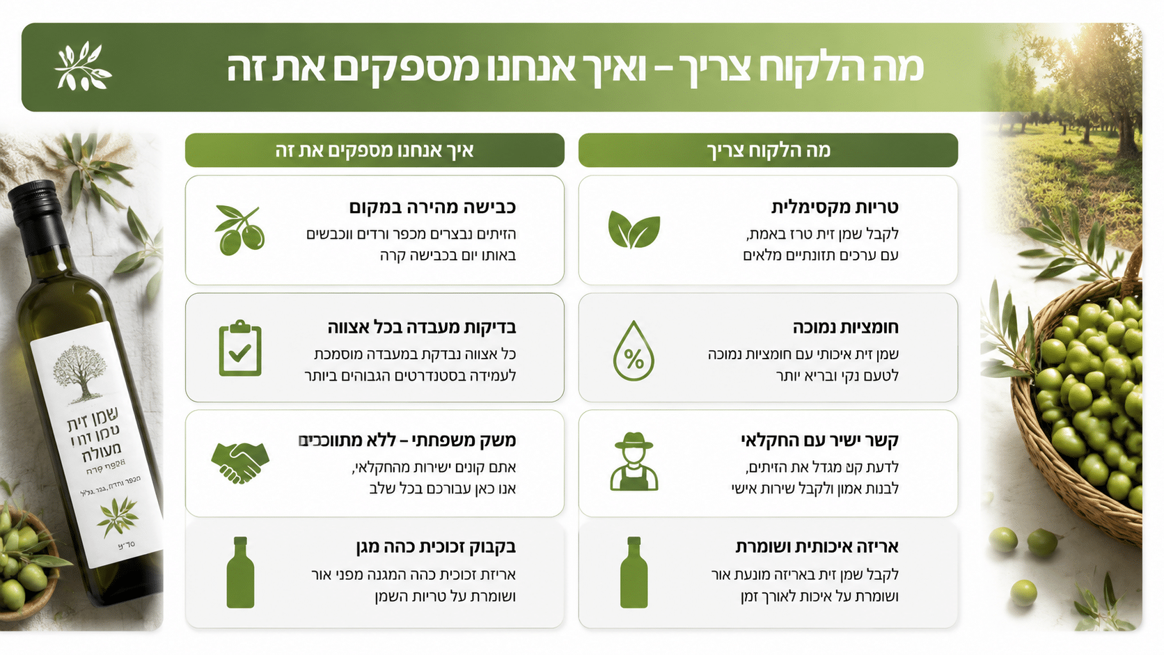 חמש טעויות נפוצות בבחירת שמן זית לפי חמיצות – המדריך של משק פנחס