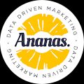 Ananas - Data Driven Marketing